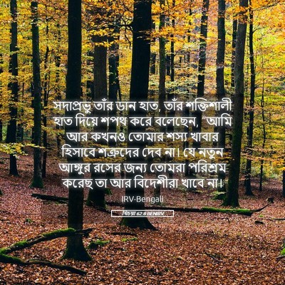 Picture 05 - যিচয়া 62:8 BENIRV - সদাপ্রভু তাঁর ডান - Bible Verse Picture