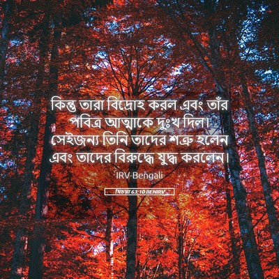 Picture 05 - যিচয়া 63:10 BENIRV - কিন্তু তারা - Bible Verse Picture