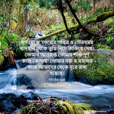 Picture 05 - যিচয়া 63:15 BENIRV - স্বর্গ থেকে, তোমার - Bible Verse Picture