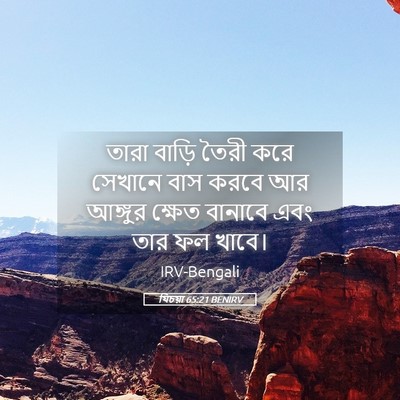 Picture 05 - যিচয়া 65:21 BENIRV - তারা বাড়ি তৈরী - Bible Verse Picture