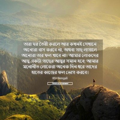 Picture 05 - যিচয়া 65:22 BENIRV - তারা ঘর তৈরী করলে - Bible Verse Picture
