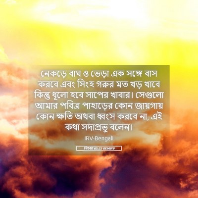 Picture 05 - যিচয়া 65:25 BENIRV - নেকড়ে বাঘ ও ভেড়া - Bible Verse Picture