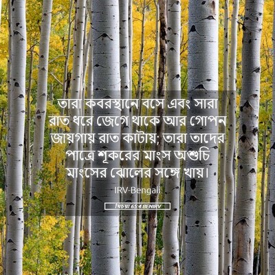 Picture 05 - যিচয়া 65:4 BENIRV - তারা কবরস্থানে - Bible Verse Picture