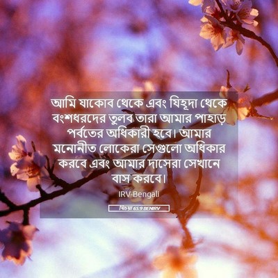 Picture 05 - যিচয়া 65:9 BENIRV - আমি যাকোব থেকে এবং - Bible Verse Picture