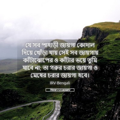 Picture 05 - যিচয়া 7:25 BENIRV - যে সব পাহাড়ী - Bible Verse Picture