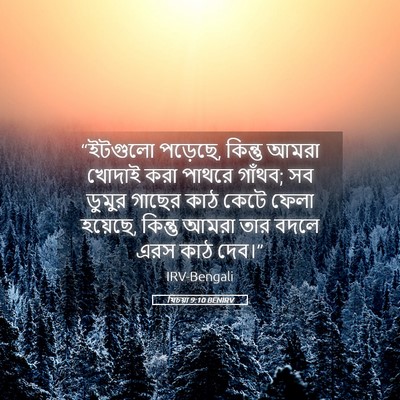 Picture 05 - যিচয়া 9:10 BENIRV - “ইটগুলো পড়েছে, - Bible Verse Picture