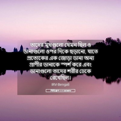 Picture 05 - যিহিষ্কেল 1:11 BENIRV - তাদের মুখগুলো - Bible Verse Picture