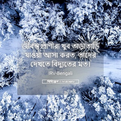 Picture 05 - যিহিষ্কেল 1:14 BENIRV - জীবন্ত প্রাণীরা - Bible Verse Picture