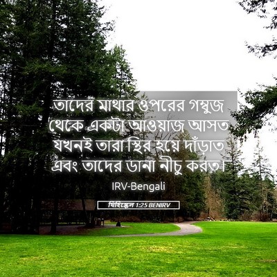 Picture 05 - যিহিষ্কেল 1:25 BENIRV - তাদের মাথার ওপরের - Bible Verse Picture