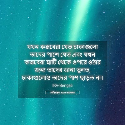 Picture 05 - যিহিষ্কেল 10:16 BENIRV - যখন করূবেরা যেত - Bible Verse Picture