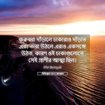 Picture 05 - যিহিষ্কেল 10:17 BENIRV - করুবরা দাঁড়ালে - Bible Verse Picture