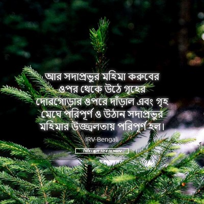 Picture 05 - যিহিষ্কেল 10:4 BENIRV - আর সদাপ্রভুর - Bible Verse Picture