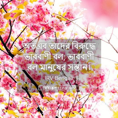 Picture 05 - যিহিষ্কেল 11:4 BENIRV - অতএব তাদের - Bible Verse Picture