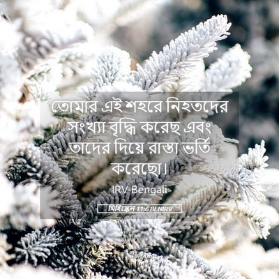 Picture 05 - যিহিষ্কেল 11:6 BENIRV - তোমার এই শহরে - Bible Verse Picture
