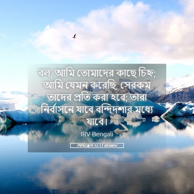 Picture 05 - যিহিষ্কেল 12:11 BENIRV - বল, আমি তোমাদের - Bible Verse Picture