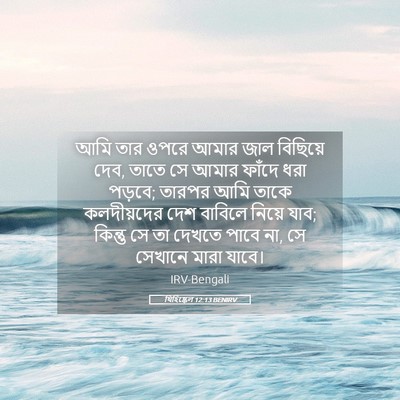 Picture 05 - যিহিষ্কেল 12:13 BENIRV - আমি তার ওপরে আমার - Bible Verse Picture