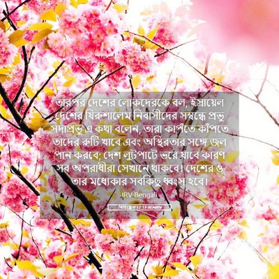 Picture 05 - যিহিষ্কেল 12:19 BENIRV - তারপর দেশের - Bible Verse Picture
