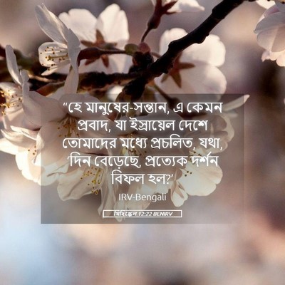 Picture 05 - যিহিষ্কেল 12:22 BENIRV - “হে - Bible Verse Picture