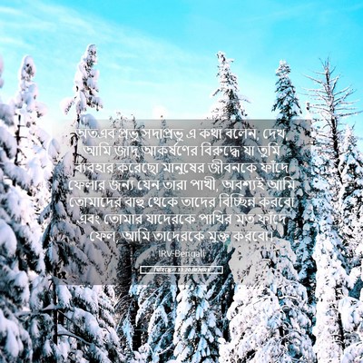 Picture 05 - যিহিষ্কেল 13:20 BENIRV - অতএব প্রভু - Bible Verse Picture