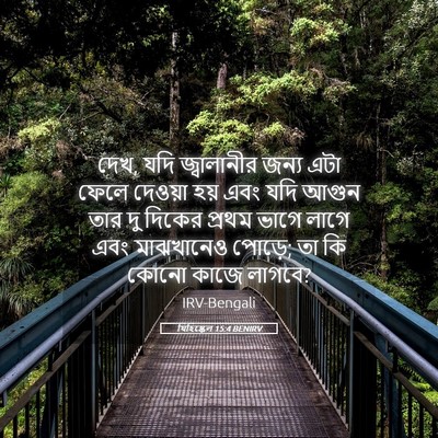 Picture 05 - যিহিষ্কেল 15:4 BENIRV - দেখ, যদি জ্বালানীর - Bible Verse Picture