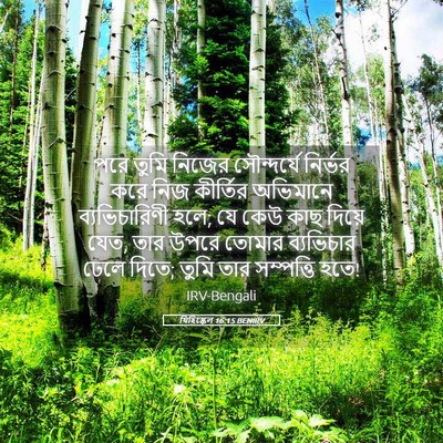 Picture 05 - যিহিষ্কেল 16:15 BENIRV - পরে তুমি নিজের - Bible Verse Picture