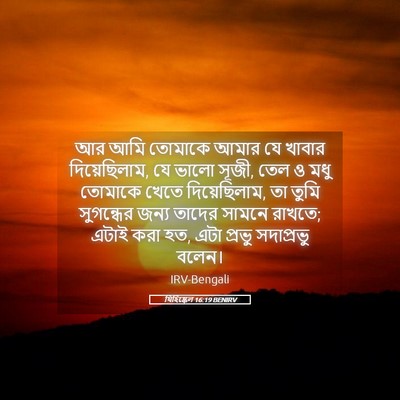 Picture 05 - যিহিষ্কেল 16:19 BENIRV - আর আমি তোমাকে আমার - Bible Verse Picture