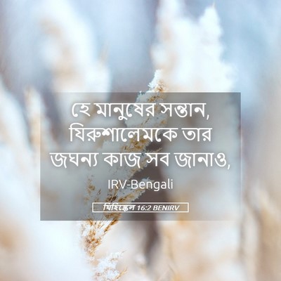 Picture 05 - যিহিষ্কেল 16:2 BENIRV - হে মানুষের সন্তান, - Bible Verse Picture