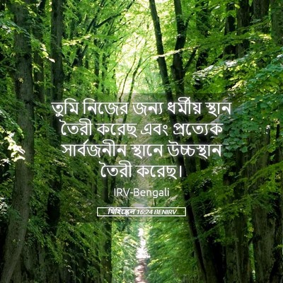 Picture 05 - যিহিষ্কেল 16:24 BENIRV - তুমি নিজের জন্য - Bible Verse Picture