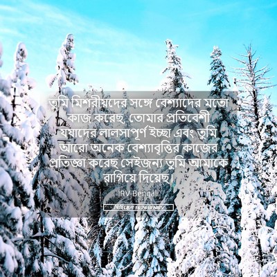 Picture 05 - যিহিষ্কেল 16:26 BENIRV - তুমি মিশরীয়দের - Bible Verse Picture