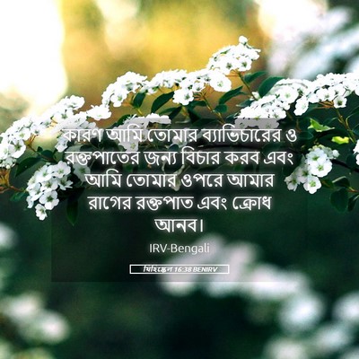 Picture 05 - যিহিষ্কেল 16:38 BENIRV - কারণ আমি তোমার - Bible Verse Picture