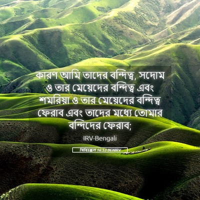 Picture 05 - যিহিষ্কেল 16:53 BENIRV - কারণ আমি তাদের - Bible Verse Picture