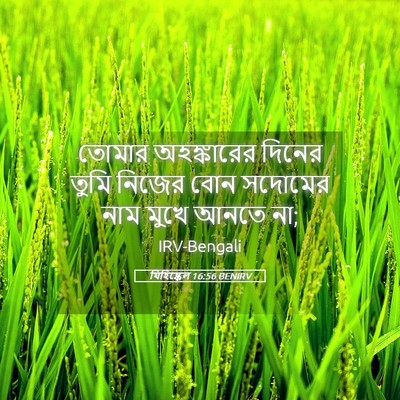 Picture 05 - যিহিষ্কেল 16:56 BENIRV - তোমার অহঙ্কারের - Bible Verse Picture