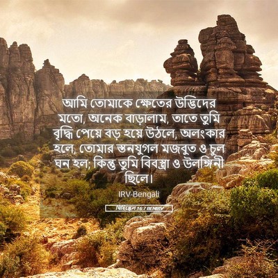 Picture 05 - যিহিষ্কেল 16:7 BENIRV - আমি তোমাকে - Bible Verse Picture
