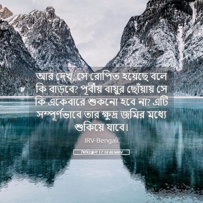 Picture 05 - যিহিষ্কেল 17:10 BENIRV - আর দেখ, সে রোপিত - Bible Verse Picture