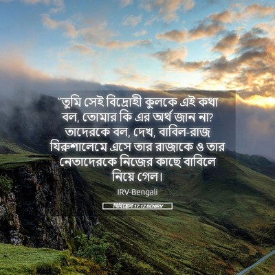 Picture 05 - যিহিষ্কেল 17:12 BENIRV - “তুমি সেই - Bible Verse Picture