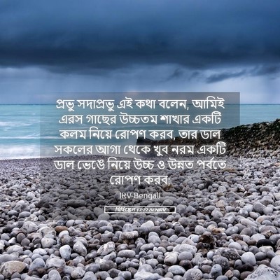 Picture 05 - যিহিষ্কেল 17:22 BENIRV - প্রভু সদাপ্রভু এই - Bible Verse Picture