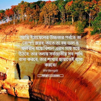 Picture 05 - যিহিষ্কেল 17:23 BENIRV - আমি ইস্রায়েলের - Bible Verse Picture
