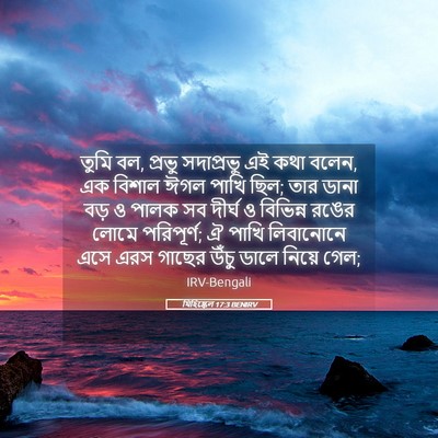 Picture 05 - যিহিষ্কেল 17:3 BENIRV - তুমি বল, প্রভু - Bible Verse Picture