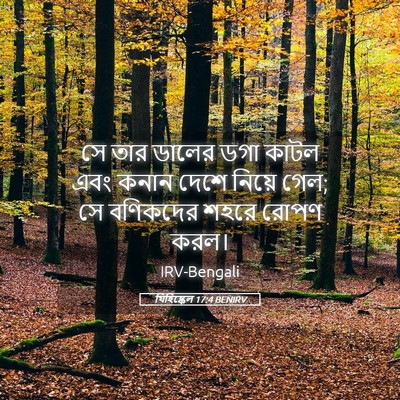 Picture 05 - যিহিষ্কেল 17:4 BENIRV - সে তার ডালের ডগা - Bible Verse Picture