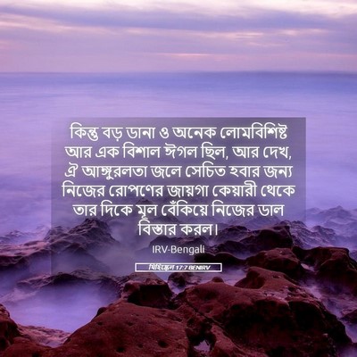 Picture 05 - যিহিষ্কেল 17:7 BENIRV - কিন্তু বড় ডানা ও - Bible Verse Picture