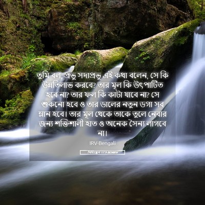 Picture 05 - যিহিষ্কেল 17:9 BENIRV - তুমি বল, প্রভু - Bible Verse Picture