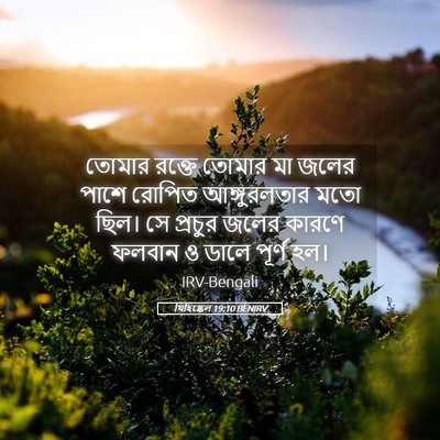 Picture 05 - যিহিষ্কেল 19:10 BENIRV - তোমার রক্তে তোমার - Bible Verse Picture
