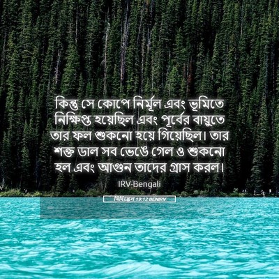 Picture 05 - যিহিষ্কেল 19:12 BENIRV - কিন্তু সে কোপে - Bible Verse Picture