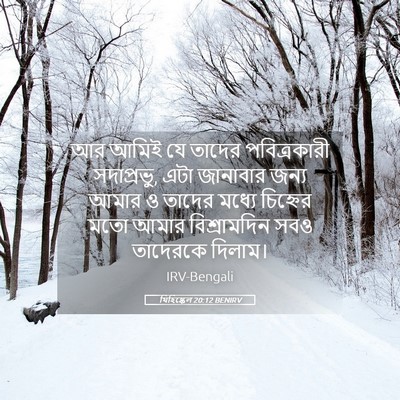 Picture 05 - যিহিষ্কেল 20:12 BENIRV - আর আমিই যে তাদের - Bible Verse Picture