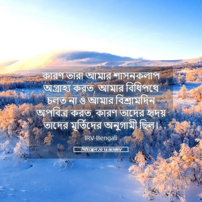 Picture 05 - যিহিষ্কেল 20:16 BENIRV - কারণ তারা আমার - Bible Verse Picture