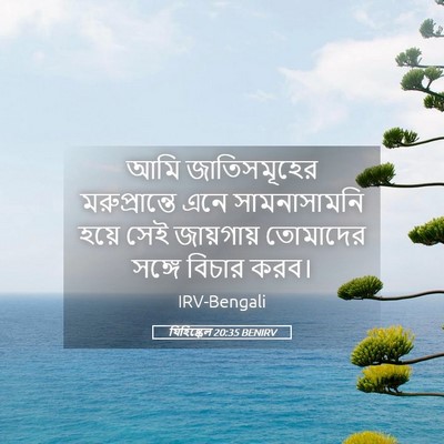 Picture 05 - যিহিষ্কেল 20:35 BENIRV - আমি জাতিসমূহের - Bible Verse Picture
