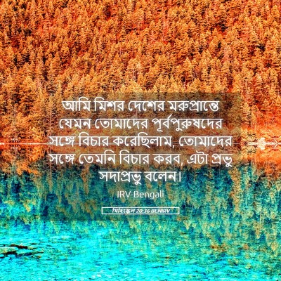 Picture 05 - যিহিষ্কেল 20:36 BENIRV - আমি মিশর দেশের - Bible Verse Picture