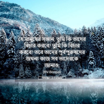 Picture 05 - যিহিষ্কেল 20:4 BENIRV - হে মানুষের সন্তান, - Bible Verse Picture