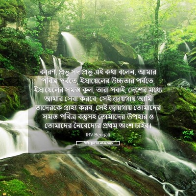 Picture 05 - যিহিষ্কেল 20:40 BENIRV - কারণ, প্রভু - Bible Verse Picture