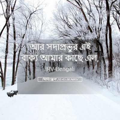 Picture 05 - যিহিষ্কেল 20:45 BENIRV - আর সদাপ্রভুর এই - Bible Verse Picture